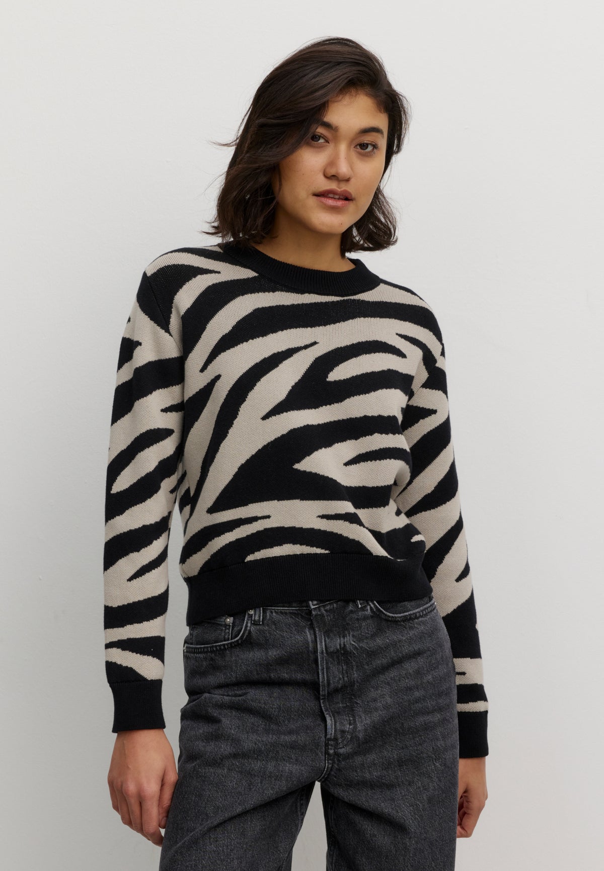PISTIA ZEBRA Pullover