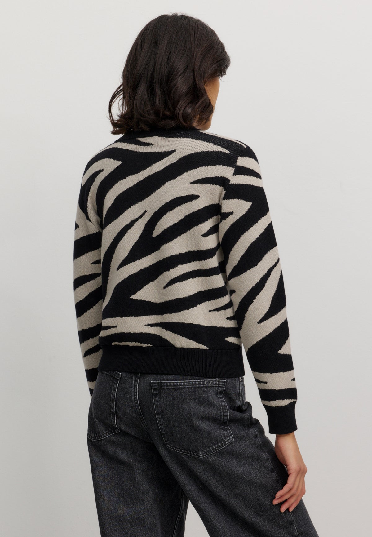 PISTIA ZEBRA Pullover